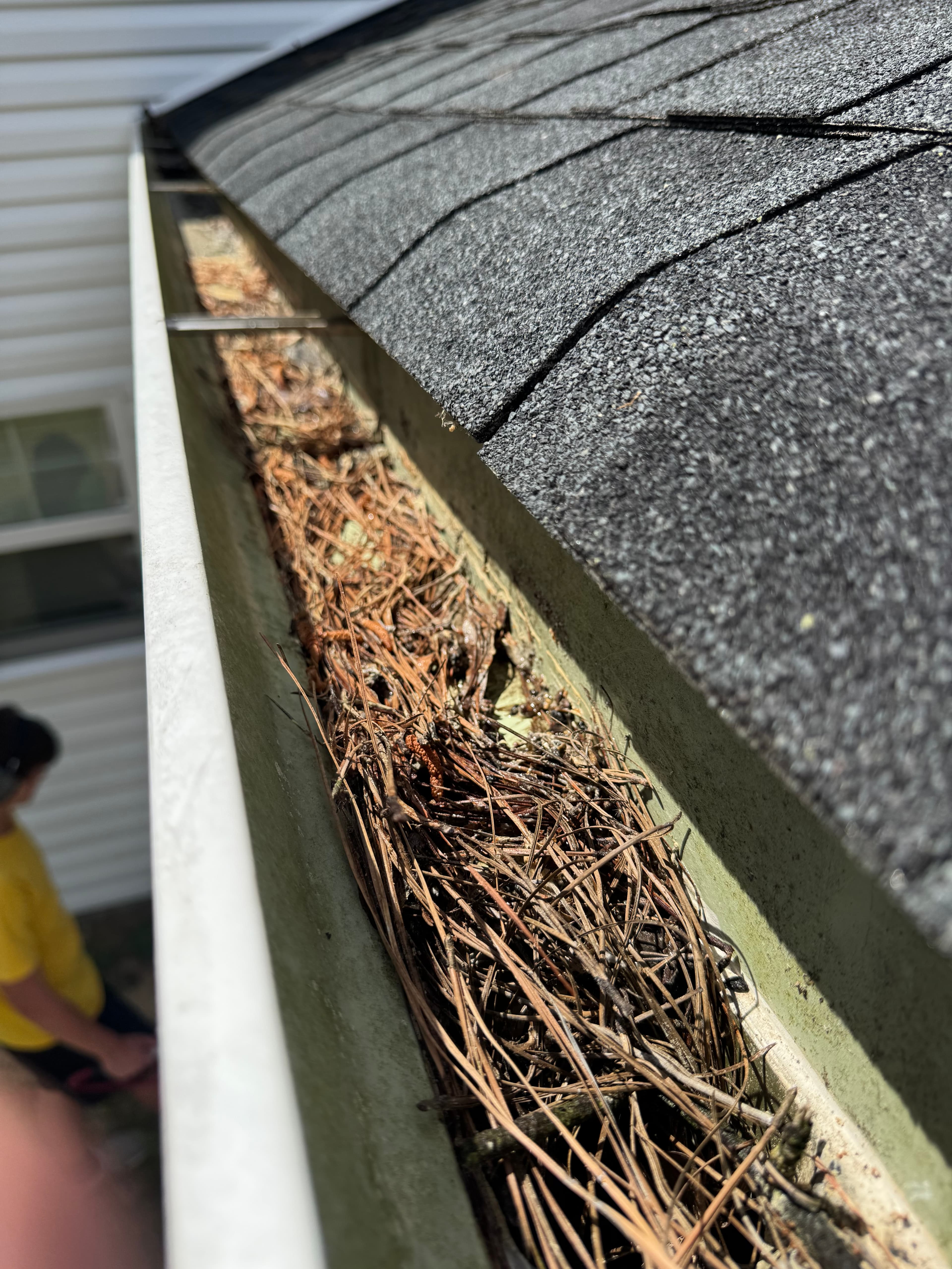 Gutters packed with pine straw and debris in Fayetteville NC before cleanout