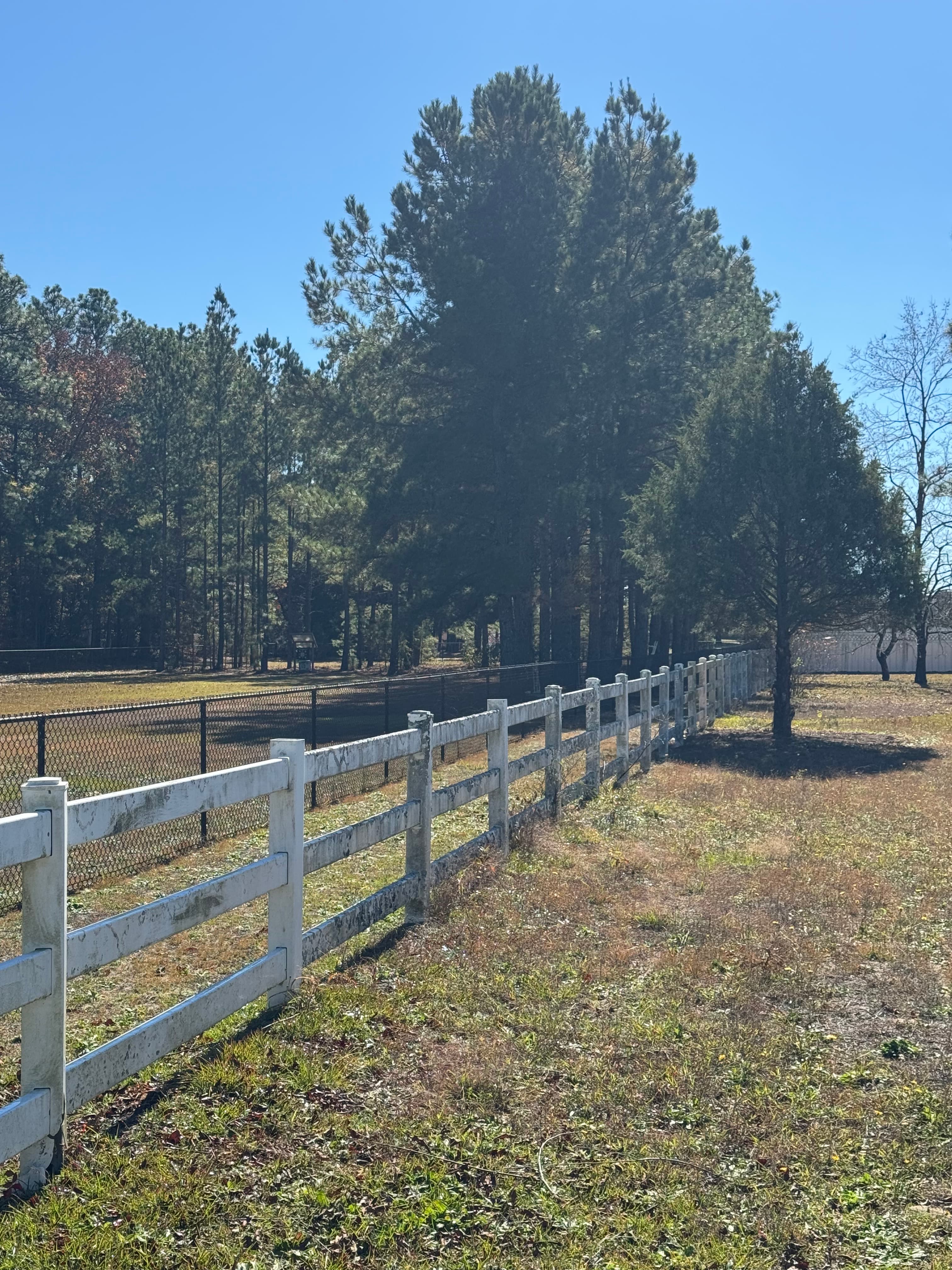 White vinyl fence with green algae and dirt buildup in Fayetteville NC